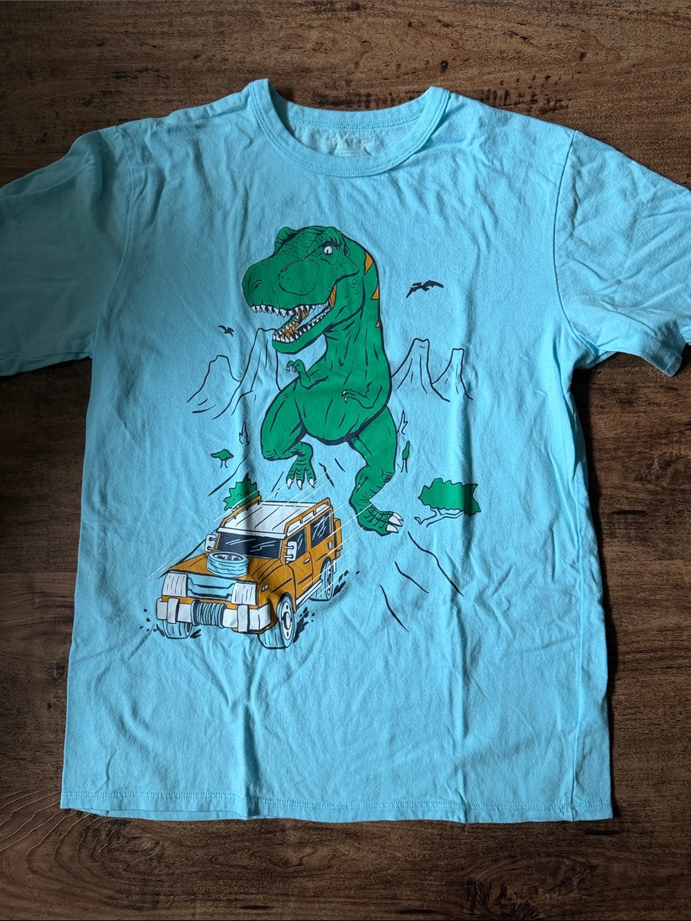 Kids Light Blue Dinosaur Graphic Tee size 14 xl